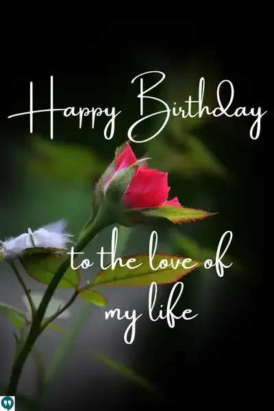 happy birthday to the love of my life images with red rose