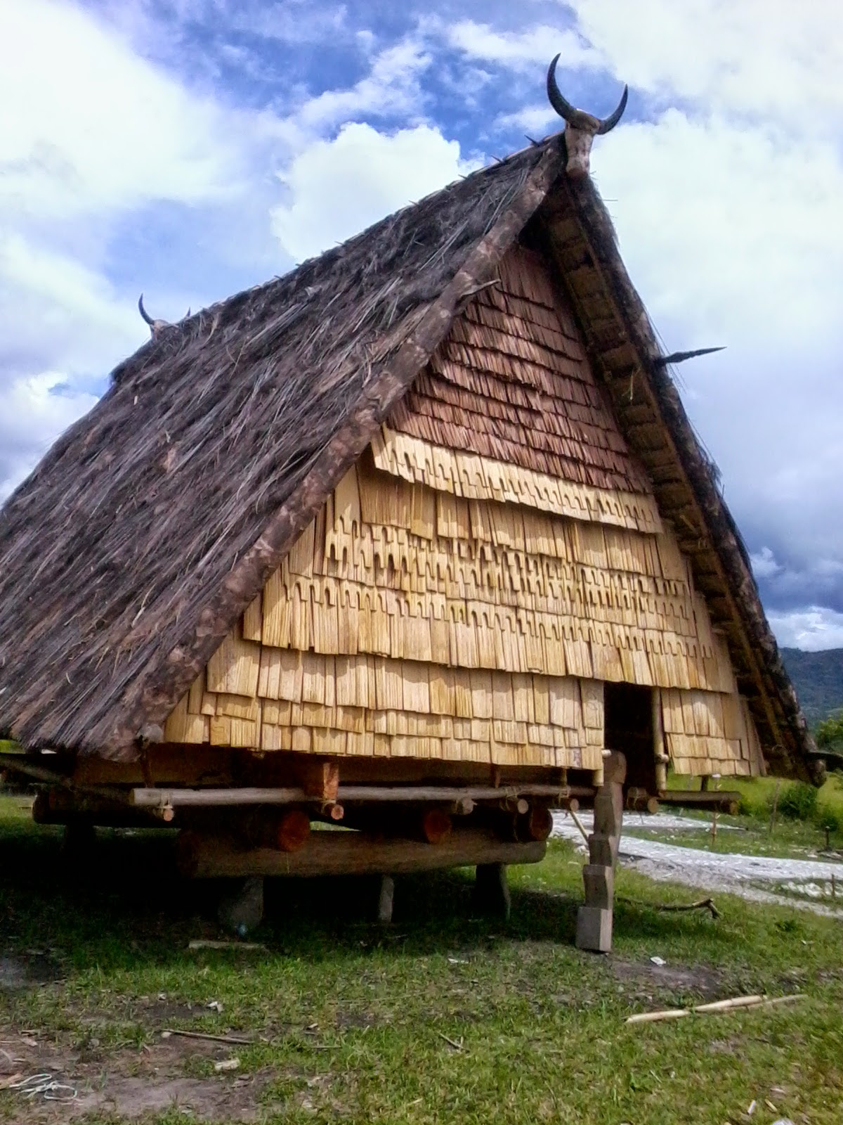 Barat rumah adat tongkonan provinsi sulawesi tengah rumah adat tambi