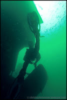 Bahia Inglesa -Chili- Bahia Mako diving