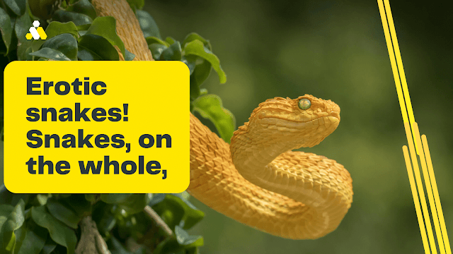 Erotic snakes| Snakes Many people have a deep fear of these reptiles.