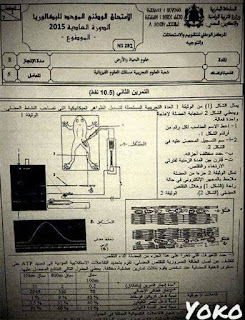 صورة