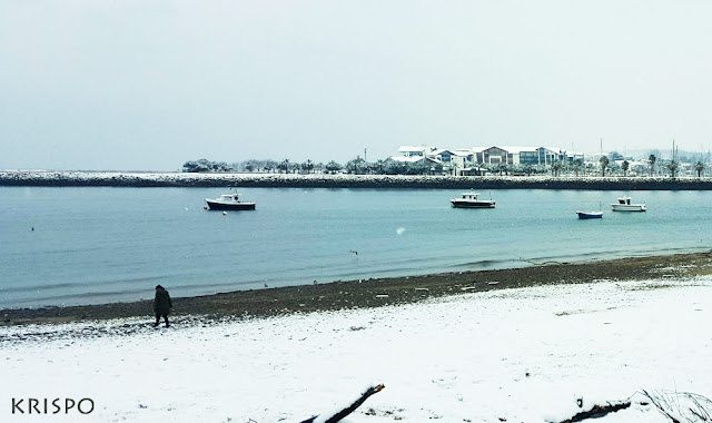 playa pequeña de hondarribia y hendaia con nieve