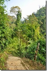 Laos Vang Vieng Kaeng Nyui waterfall 140130_0025