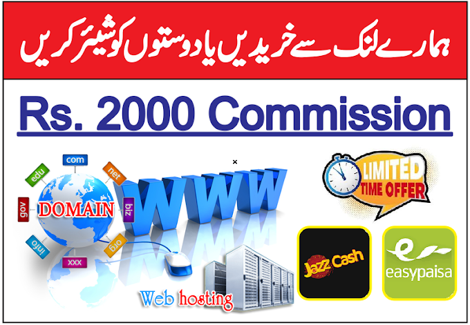 Domain and Hosting Offer in Pakistan 2023