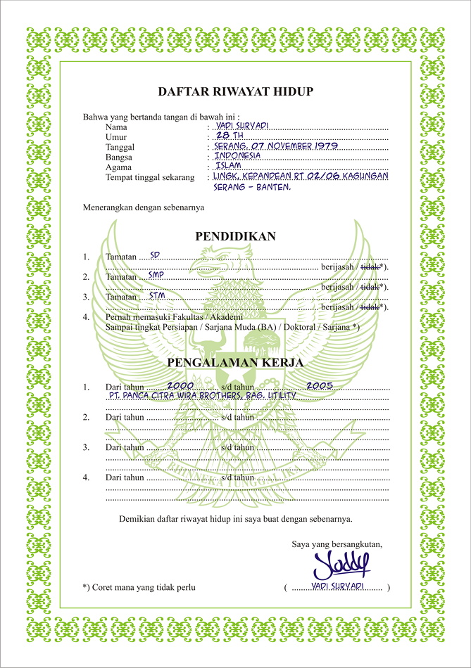 Format Daftar Riwayat Hidup PNS Terbaru - cv nabila Format Daftar Riwayat Hidup PNS Terbaru - cv nabila
