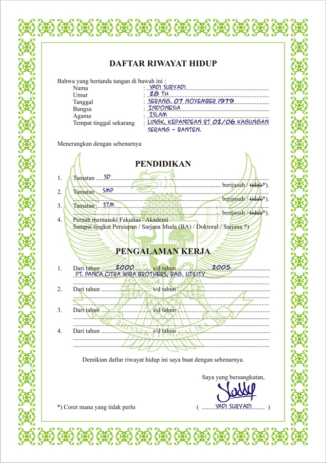 Format Daftar Riwayat Hidup PNS Terbaru - cv nabila