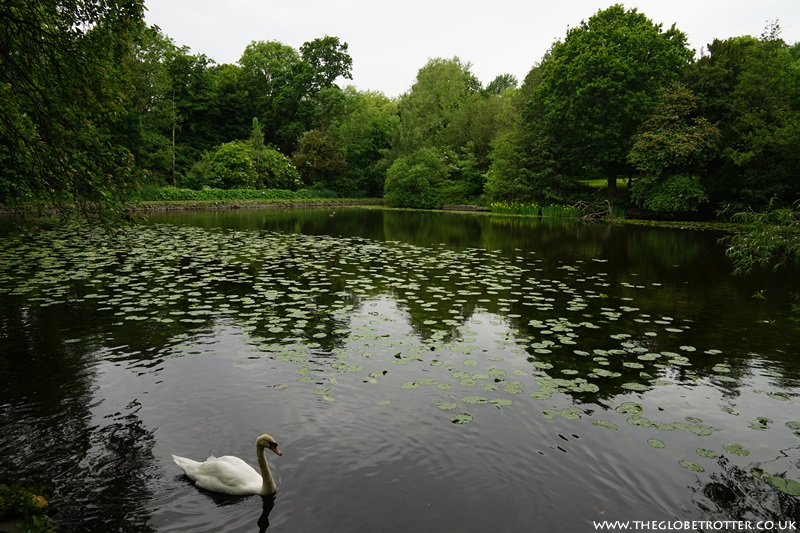 Pond at Haden Hill Park in West Midlands
