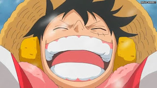 ワンピースアニメ パンクハザード編 595話 ルフィ かわいい Monkey D. Luffy | ONE PIECE Episode 595