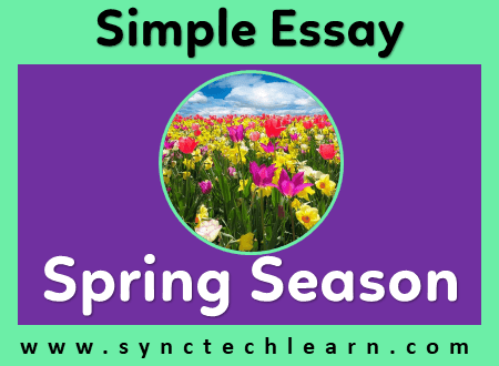 essay on spring season in 100 words