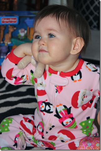 IMG_7149 IMG_7149