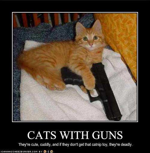 funny cats with guns pictures. This is the reason why the cat