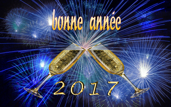 Meilleurs vœux 2017 ! | Maison Pour Tous Ergué-Armel