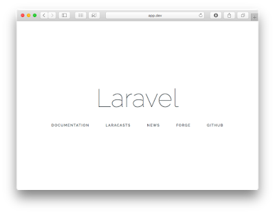 Immagine Laravel funzionante nel browser