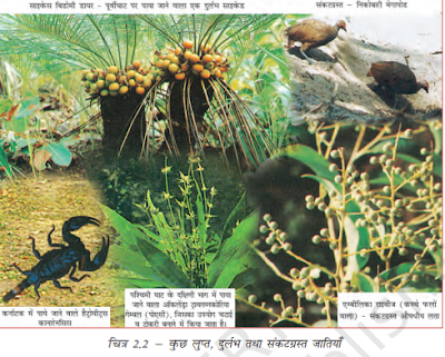 Forest and Wildlife Resources (वन और वन्यजीव संसाधन)