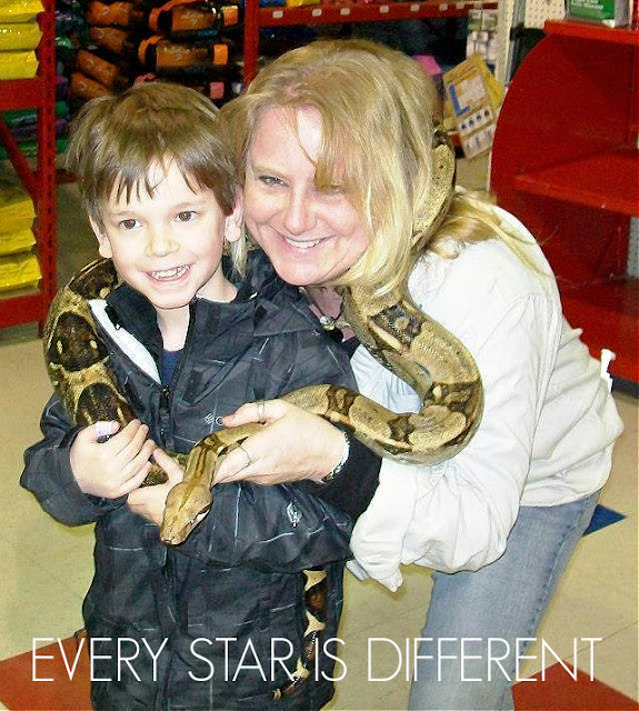 Up Close and Intimate with a Boa