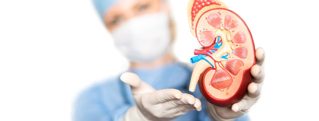 Best urology hospital in hyderabad