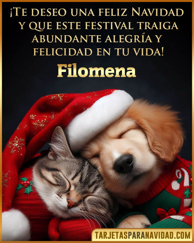 Postales de navidad para Filomena