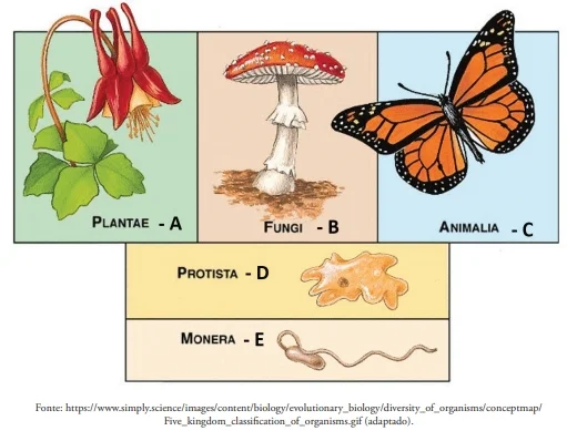FDSBC 2020: A figura a seguir contém ilustrações de organismos pertencentes a reinos diferentes.