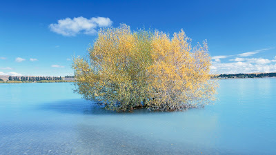 Hermosas fotografías de paisajes naturales - Beautiful nature landscapes