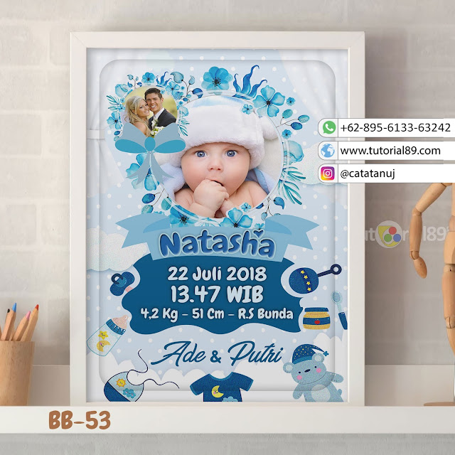 Biodata Bayi Costume Unik Kode BB53 | Bunga BIru