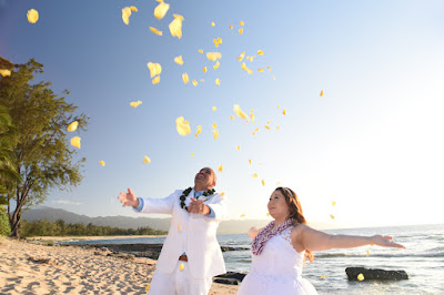 Yellow Rose Petals