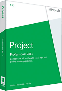 Microsoft Project Professional 2013