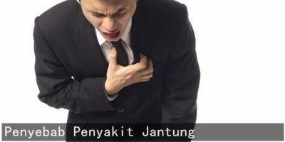 penyebab penyakit jantung