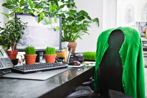  Tanaman hias Untuk Meja Kantor Dapat Kurangi Stress 