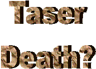 Tasers, Civil Rights, Excessive Force, Extreme Brutality, Florida Attorney, Florida Lawyer, Police Misconduct, Tampa Attorney, Wrongful Death, 