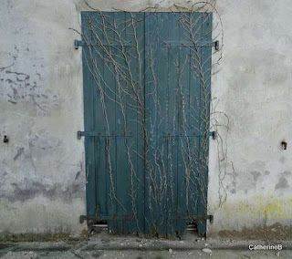 urbex-maison-chevaux-fous-camargue-volets-verts-jpg