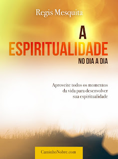 Livro sobre como desenvolver passo a passo a sua espiritualidade. Livro A Espiritualidade no Dia a Dia