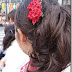 Nishi-Tokyo Omaturi 2013 - 西東京のお祭り