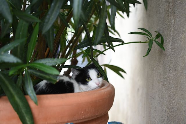 20151003-DSC_0581.jpg