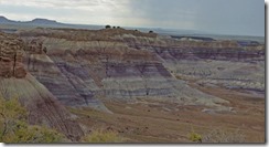  Petrified Forest National Park