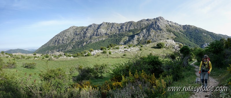 Nueve picos de la Sierra del Endrinal