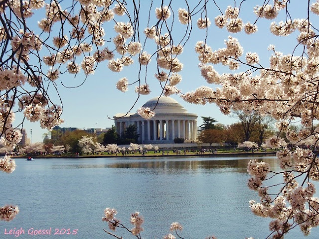 Thomas Jefferson Memorial Washington DC