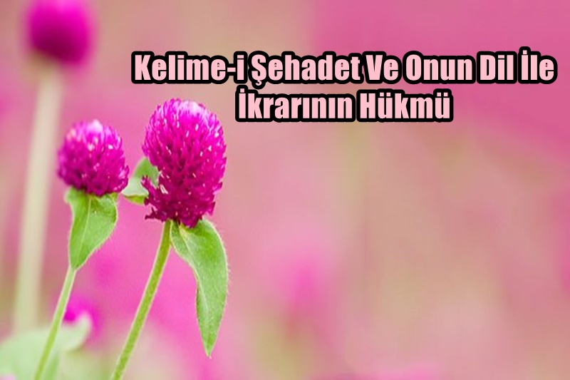 Kelime-i Şehadet Ve Onun Dil İle İkrarının Hükmü