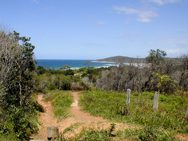 Coastal access near Yamba, New South Wales, Australia. Photo by Loire Valley Time Travel.