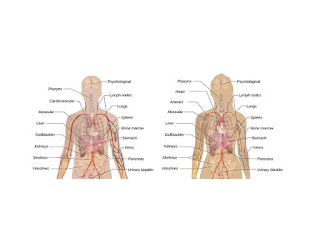 WHAT IS UTI || CAUSES OF UTI || TYPES OF UTI || SIGN & SYMPTOMS OF UTI || UTI Ka ilaj Or treatment