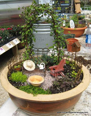 miniature garden plants