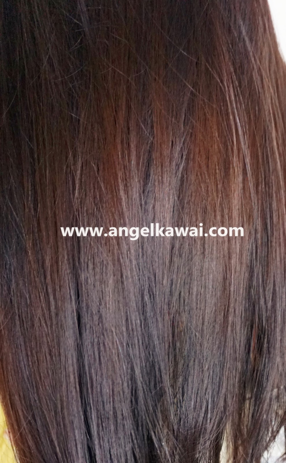 Angelkawais Diary GARNIER Color Naturals Cream Hair Color 316