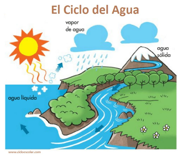 Ciclo del agua para niños.