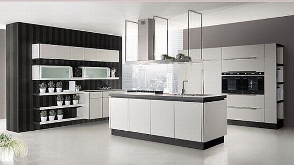 Modern Contemporary Kitchen Cabinets