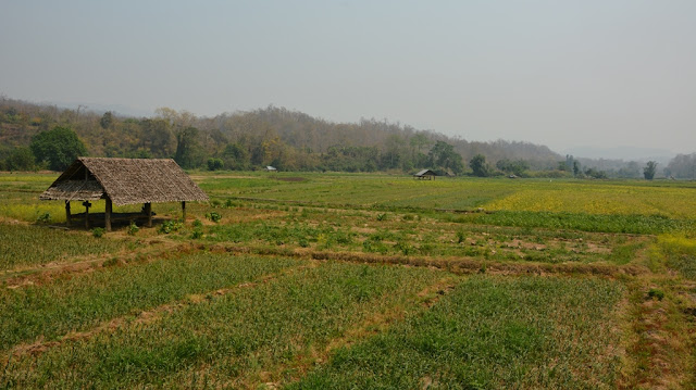 Su Tong Pae bamboo Bridge