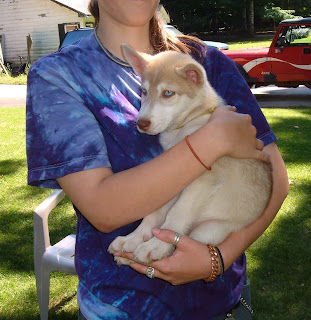 Our daughter holding her pick of the litter - our new Jack