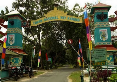 Taman Nasional Way Kambas lampung