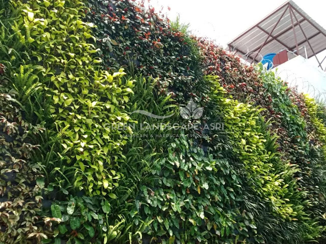 Jasa Vertical Garden Luwu - Pasang Taman Vertikal Berkualitas
