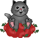 Gif de gatinho