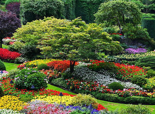 Beautiful gardens - Wonderful