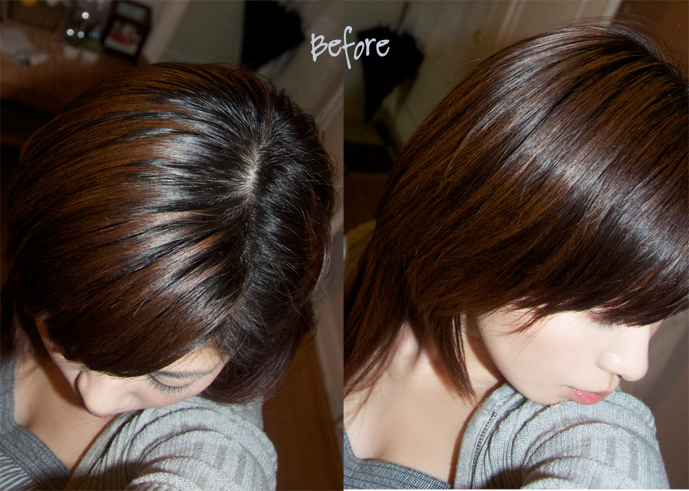 ekiBlog.com: Hair Bleaching and Light ash brown hair color
